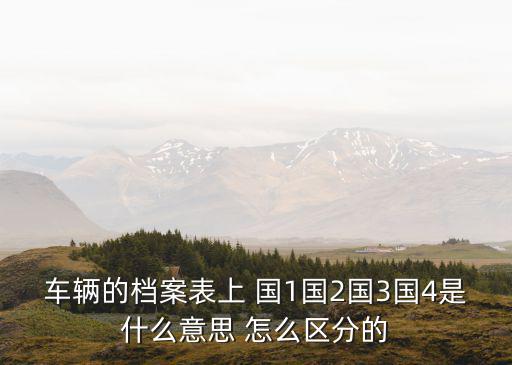 車輛的檔案表上 國1國2國3國4是什么意思 怎么區(qū)分的