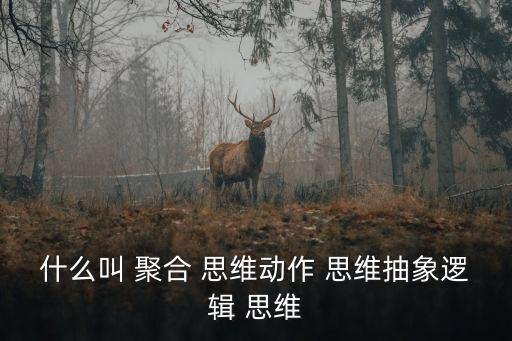 什么叫 聚合 思維動作 思維抽象邏輯 思維