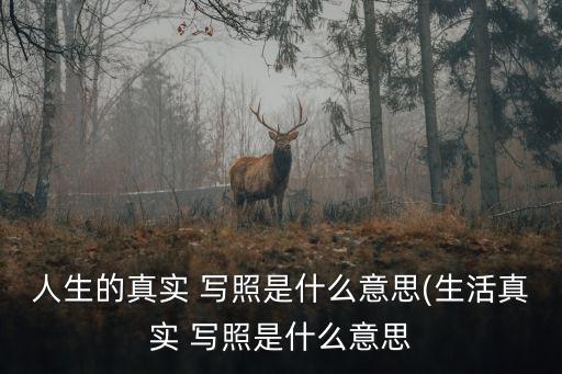人生的真實 寫照是什么意思(生活真實 寫照是什么意思
