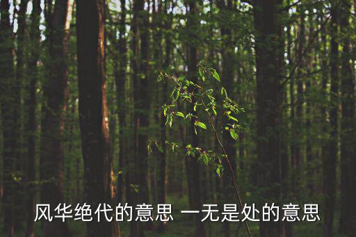 風華絕代的意思 一無是處的意思