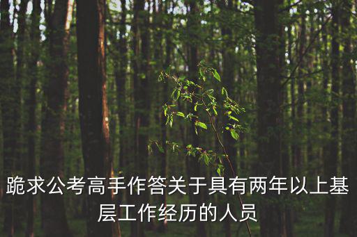 跪求公考高手作答關于具有兩年以上基層工作經歷的人員