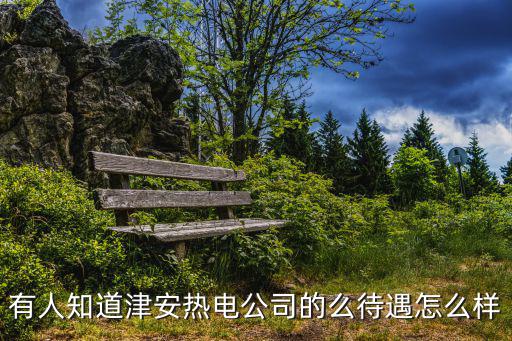 天津市城安熱電公司，天津市津安熱電公司待遇如何