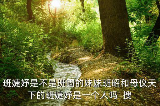 班婕妤簡介，班婕妤是不是班固的妹妹班昭和的班婕妤是一個人嗎  搜