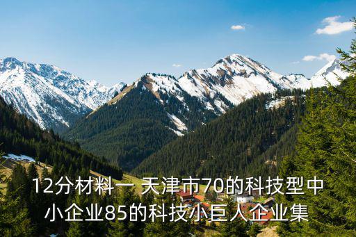 12分材料一 天津市70的科技型中小企業(yè)85的科技小巨人企業(yè)集