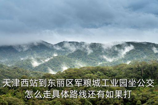 天津市東麗區(qū)軍糧城示范鎮(zhèn)軍麗園，我現(xiàn)在在天津河西區(qū)沽海道天津市東麗區(qū)軍糧城工業(yè)園區(qū)