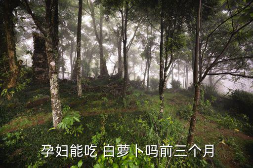 孕婦能吃白蘿卜嗎