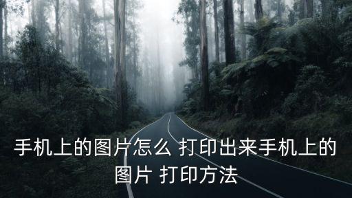 圖片怎么打印出來,如何進(jìn)行圖-more-打印?