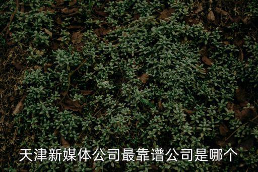 天津新媒體公司最靠譜公司是哪個