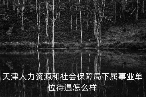 天津人力資源和社會保障局下屬事業單位待遇怎么樣