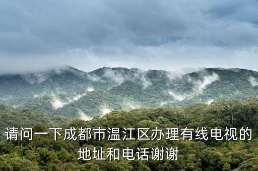 成都市溫江電視維修，成都哪里有修電視的