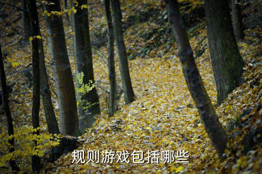 規則游戲包括哪些