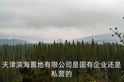 天津市國有民營的壁壘，天津市的哪家公司將承擔搭建天津市的國有資產經營平臺