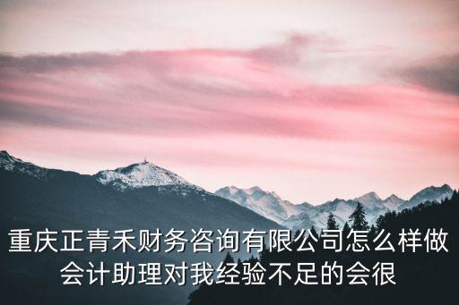 重慶正青禾財務咨詢有限公司怎么樣做會計助理對我經驗不足的會很