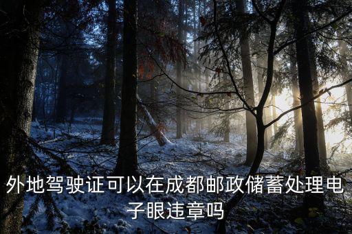 外地駕駛證可以在成都郵政儲蓄處理電子眼違章嗎