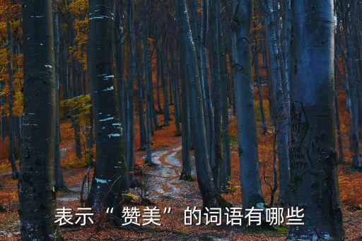 贊美的詞,關于贊美和歌頌贊美的五個英文單詞