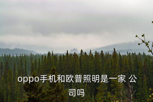  oppo手機和歐普照明是一家 公司嗎