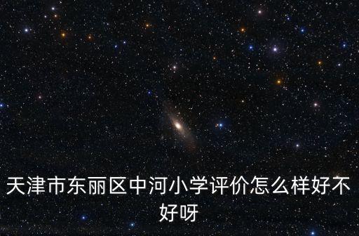 天津市東麗區中河小學評價怎么樣好不好呀