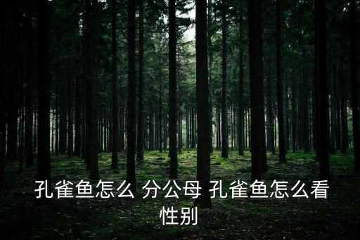  孔雀魚怎么 分公母 孔雀魚怎么看性別