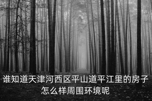 誰知道天津河西區平山道平江里的房子怎么樣周圍環境呢