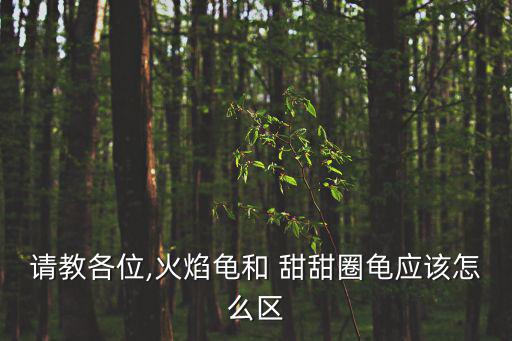 甜甜圈圖片,廣東甜甜圈五金畫臉惹爭議原因揭曉