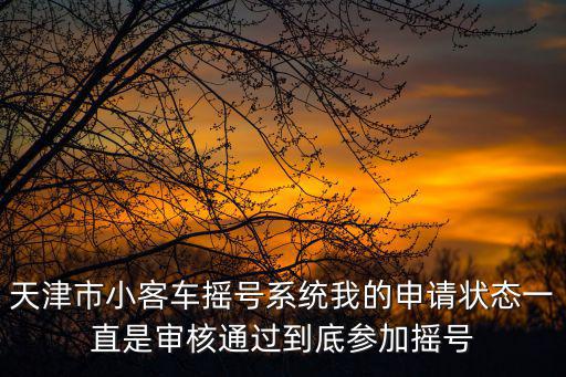 天津市小客車搖號系統我的申請狀態一直是審核通過到底參加搖號