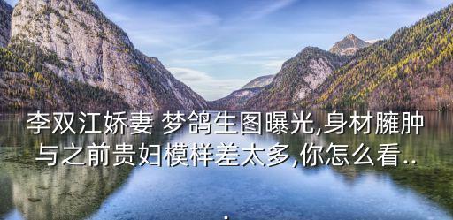 李雙江嬌妻 夢鴿生圖曝光,身材臃腫與之前貴婦模樣差太多,你怎么看...