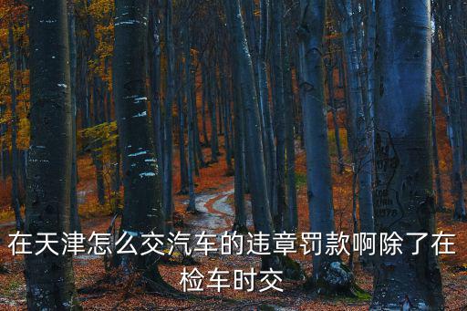 在天津怎么交汽車的違章罰款啊除了在檢車時交