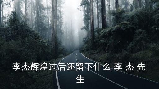 李杰輝煌過(guò)后還留下什么 李 杰 先 生