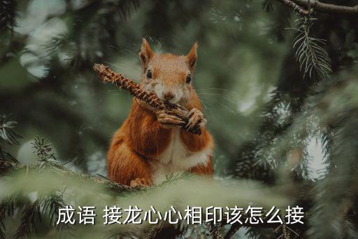 印開(kāi)頭的成語(yǔ)接龍,封金掛印象征辭官無(wú)賞成語(yǔ)