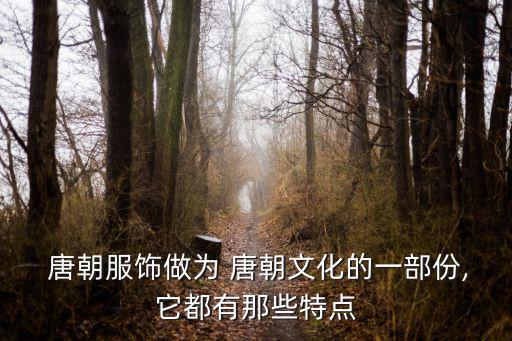 唐朝頭飾,唐朝服飾與文化的淵源