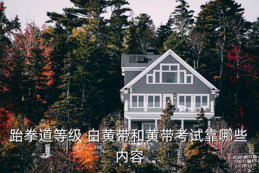 跆拳道等級 白黃帶和黃帶考試靠哪些內容
