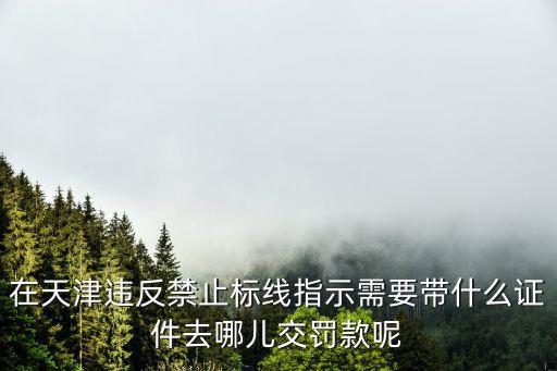 天津市駕易通是必須，在天津智能交通網查詳細是必須繳費嗎