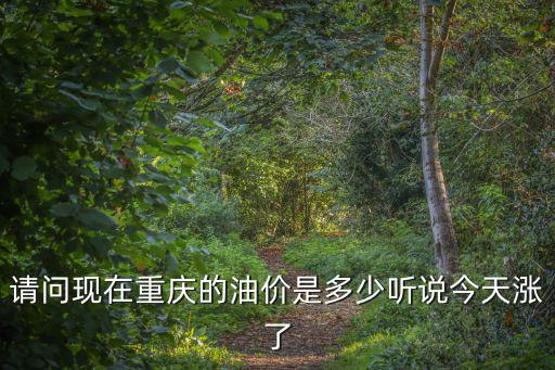 請問現在重慶的油價是多少聽說今天漲了