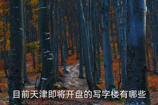 天津市都會軒開盤，天津市河北區下半年的開盤地址