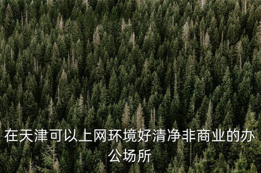 在天津可以上網環境好清凈非商業的辦公場所