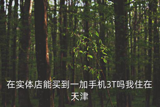 在實體店能買到一加手機3T嗎我住在天津