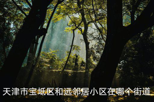 天津市寶坻區(qū)和遠鄰居小區(qū)在哪個街道