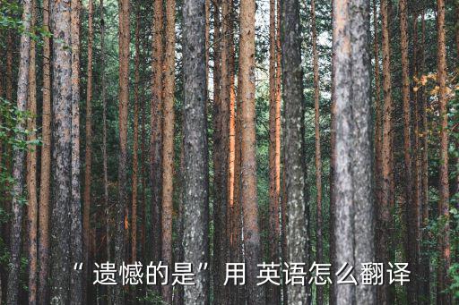 遺憾英語,三巨頭休假日露面遺憾與不如預(yù)期