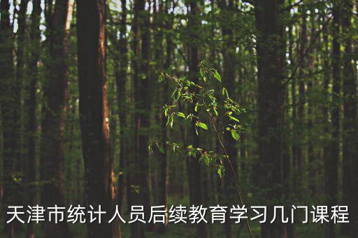 天津市統計人員后續教育學習幾門課程
