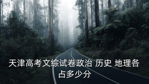 天津高考文綜試卷政治 歷史 地理各占多少分