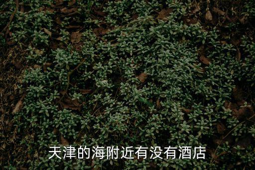 天津的海附近有沒有酒店