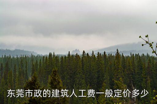 東莞市政的建筑人工費(fèi)一般定價(jià)多少