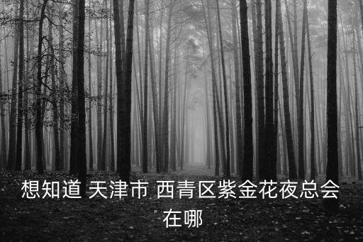 想知道 天津市 西青區紫金花夜總會 在哪