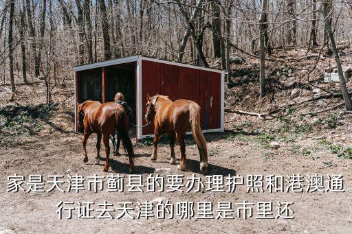 天津市薊縣伊甸健康養老院門面圖片，家是天津市薊縣的要辦理護照和港澳通行證去天津的哪里是市里還
