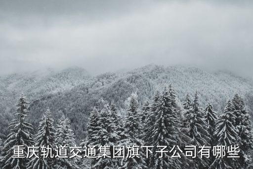 重慶軌道交通集團旗下子公司有哪些