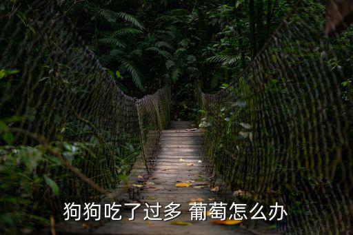 狗狗吃了過多 葡萄怎么辦