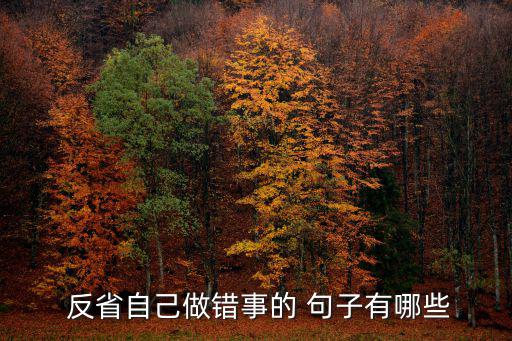 反省自己的句子,第二集:反省與自我鞭策