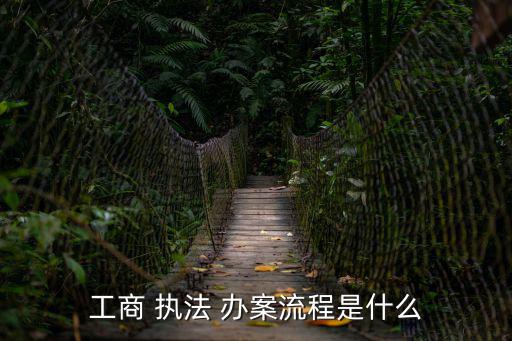 工商 執法 辦案流程是什么