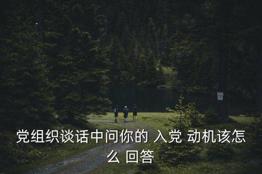 入黨動機的簡單回答