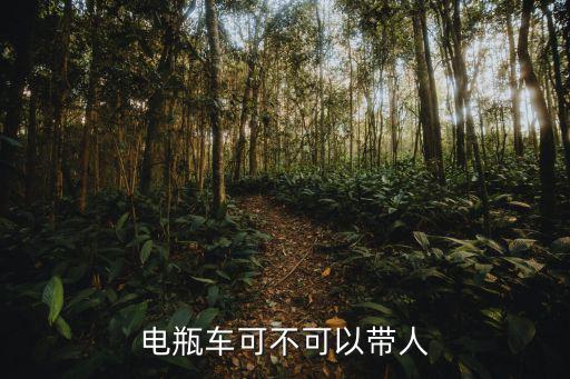 天津市騎電動車能帶人嗎，交通法規騎電動車可以帶人嗎